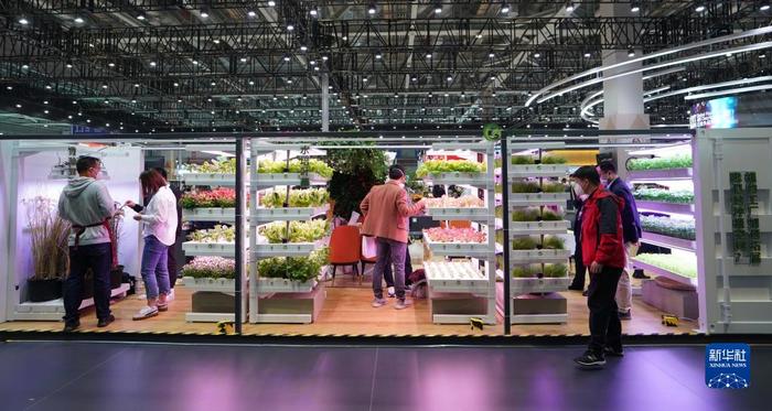 進博會上看“集裝箱里種菜” 科技賦能農(nóng)業(yè)新變革