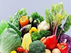 無錫蔬菜配送中心 現(xiàn)代都市農(nóng)業(yè)與高效供應(yīng)鏈的苗木根基